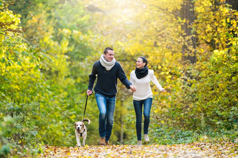 Ein Päärchen geht im Wald mit dem Hund spazieren