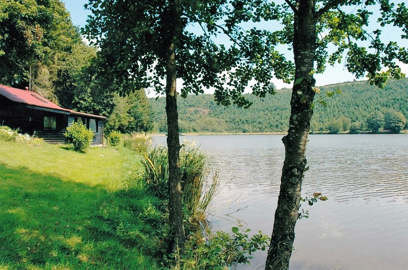 Ausblick neben einer Holzhütteauf den See